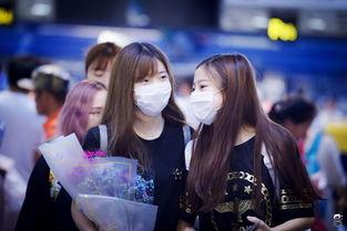 黑喵cp最新爆料,甜蜜瞬间曝光,粉丝心动不已! 第1张 黑喵cp最新爆料,甜蜜瞬间曝光,粉丝心动不已! 第1张